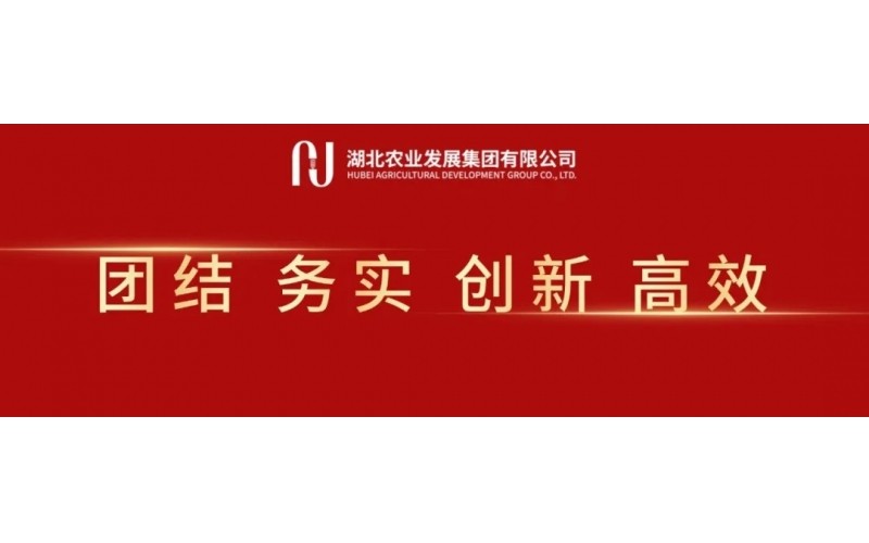 湖北農發集團召開黨委（擴大）會 傳達貫徹全省集中整治違規吃喝動員部署會精神
